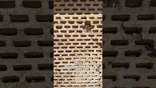 Jaali design for extra privacy at Amer Fort
