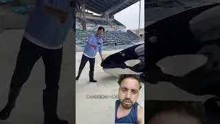 unbelievable smartest dolphin | credit boy #shortsvideo