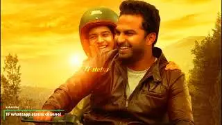 telise lope cheli song whatsapp status | TF whatsapp status channel