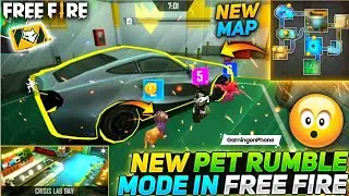 #NEW PET RUMBLE ROOM CARD.
