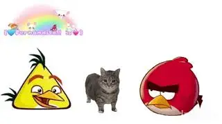 Chuck's Apple Jack Meme.#angrybirds #memes #givemebackmykids
