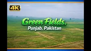 🌾 Green Fields of Punjab, Pakistan &mdash; Aerial Drone View | Nature, Agriculture & Rural Life in 4K