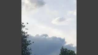 2808164677