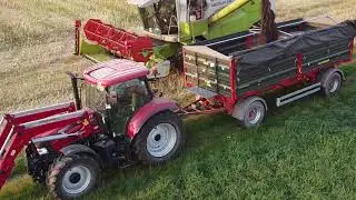 Claas Medion 340 - Żniwa 2021