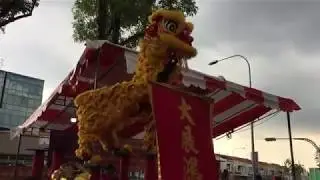 Lion Dance - acrobatics display on high poles | EnterSingapore.info