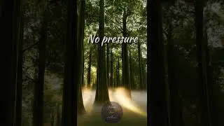 No plans. No pressure. Just breath.