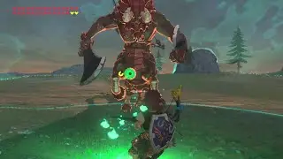 My Breath of the Wild clip compilation Vol 161 (+ a couple TotK sometimes) Some battles & favorites)