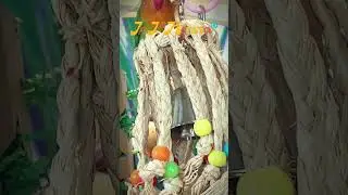JoJoMonsta Paradise Series Hula Harmony Skirt Parrot Toy Gnawing Interactive Climbing&nbsp;Bird Toy parro