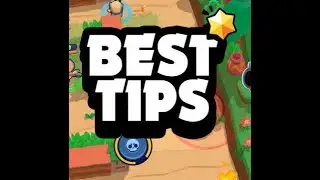 Consejos de Sandy,Frank y Max