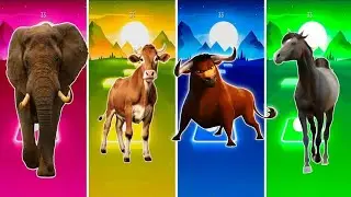 Funny the Horse🐎 🆚Funny Elephant y 🆚Funny Cow🐄 Funny Bull🦏Tiles Hop EDM Rush #tileshop​ #coffindance