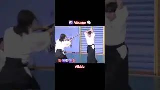 ✌Айкидо