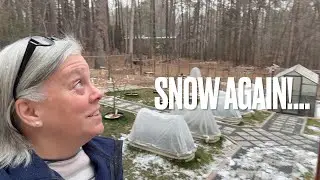 Winter Storm and Seed Starting Update (North Carolina)