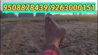 #viralvideo #realestate #property #trending #reels #top #investment #video #viral#tips #tricks#live 