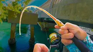 What&rsquo;s Hiding Under This Tiny Bridge? | Saltwater Fishing Florida Catch and Cook
