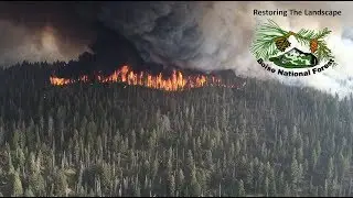 Pioneer Fire Burned Area Emergency Response on the  Boise National Forest