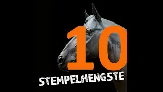 Stempelhengste Podcast - 10 Weltmeyer