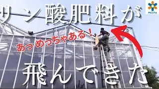 【何でこんなところに？！】地球をめぐるリン酸の特性から考える  植物に効かせる肥料のあげ方