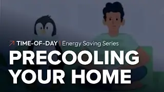 Time-of-Day &ndash; Energy Saving Series: Precooling your home