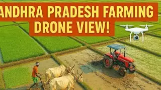 Drone View of Farming in Andhra Pradesh | 4K Cinematic Aerial Short