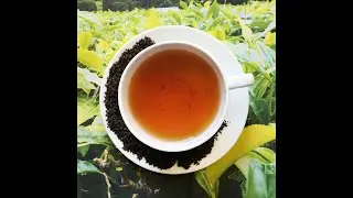 Australian Tea