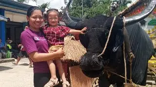 2025 IFUGAO getaway #Ifygao#Hingyon