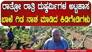 ರಾತ್ರೋ ರಾತ್ರಿ ದುಷ್ಕರ್ಮಿಗಳ ಅಟ್ಟಹಾಸ ಬಾಳೆ ಗಿಡ ನಾಶ ಮಾಡಿದ ಕಿಡಿಗೇಡಿಗಳು | CHIKKABALLAPURA NEWS |