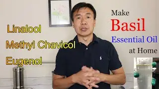 How to Make Basil Essential Oil at Home by Steam Distillation Benefits of Basil Hydrosol Chemistry
