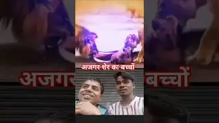 Python and lion's cubs #reaction# #video #viral ##shot #video #viral##viral #video#reaction #viral