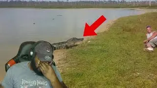 Feeding an Alligator Gone Wrong ! | 5 Crocodile Encounters You're Not Allowed To see