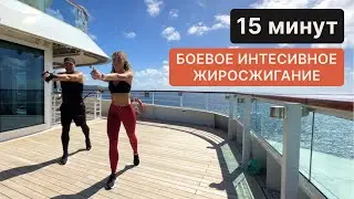 HIIT FAT BURNING FIGHT 15 MIN