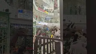 nexus mall Amritsar#mall#awesome