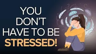 Nervous System Rewiring: Create a buffer between stressors and reactions