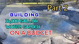 Building a 36,000 gallon water garden duck fish pond on a budget. pt 2
