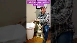 Simple Trash Can Enclosure #shorts