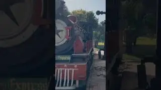 A heritage train and the world's oldest working steam locomotive | Fairy Queen train
