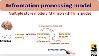 Information processing model of memory psychology #backtobasics