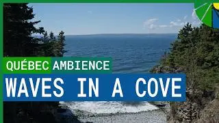 Waves in a Cove - Ambient Soundscape 4K