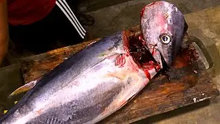 SHARP BLADE VS 16KG BLUE FIN TUNA - CUTTING SLICE BY SLICE | FISH CUTTERMAN