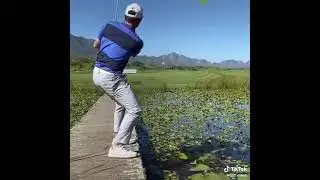 Golf love -Cute videos for people who love golf #shorts
