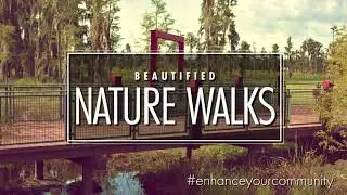 Enhance Your Community with a Custom Timber Bridge | Residential & Commercial Bridge Solutions | YBC