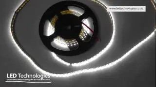 LED Tape ProFlex Warm White Side View 3000-3500 CCT (IP20) 12v 5mtr Roll | 100.520