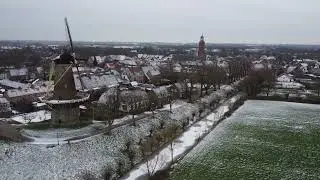 Dorne vluch - Buren in de Sneeuw 17-01-24