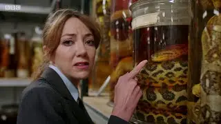 Cunk on Cabbage and Darwin