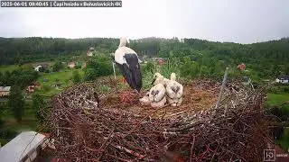 Maličk&eacute;mu  se asi d&eacute;&scaron;ť moc nel&iacute;b&iacute; 1.6.25