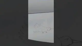 bird flying flipbook