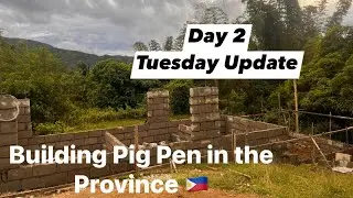 Building Pig Pen in the Philippines 🇵🇭 | Tuesday Update | Harvesting Coconut