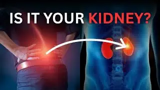 IS IT YOUR KIDNEY? The Simple Test To Know If Your Back Pain Is Serious