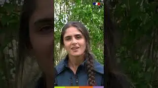 Reconversion  -  Pauline Delcourt #BTS #gestionforesti&egrave;re #reconversionprofessionnelle