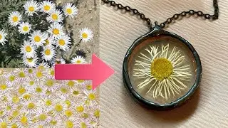 Pressed Flower Necklace,  Glass Jewelry,  Roadside Daisy, Flower Jewelry I How To Make