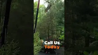 PTC - Crane Assisted-Tree Removal